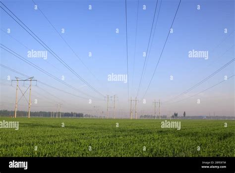 Agriculture China 的图像结果