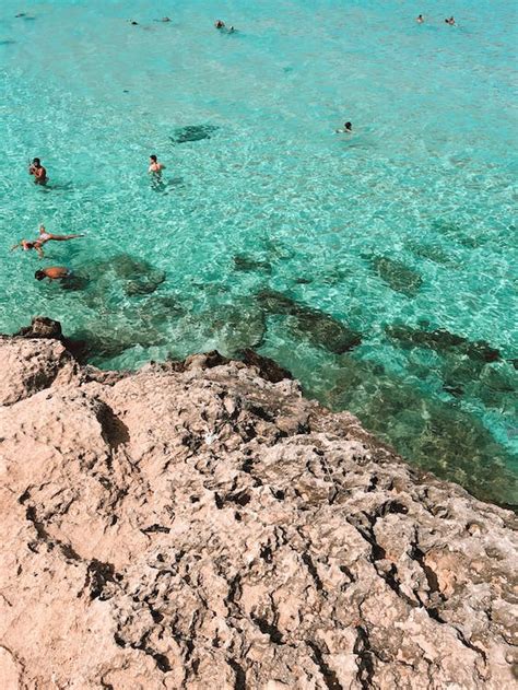 Swimming Beach 的图像结果