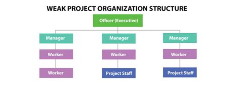 Project Management Organization Chart 的图像结果