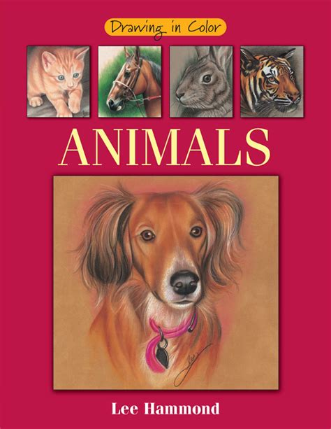 Buy Drawing in Color: Animals Book Online at Low Prices in India ...