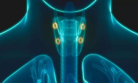 Microwave and Radiofrequency Ablation Are Effective Alternatives to ...