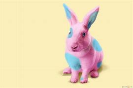 Image result for Pictures of a Pink Baby Rabbit