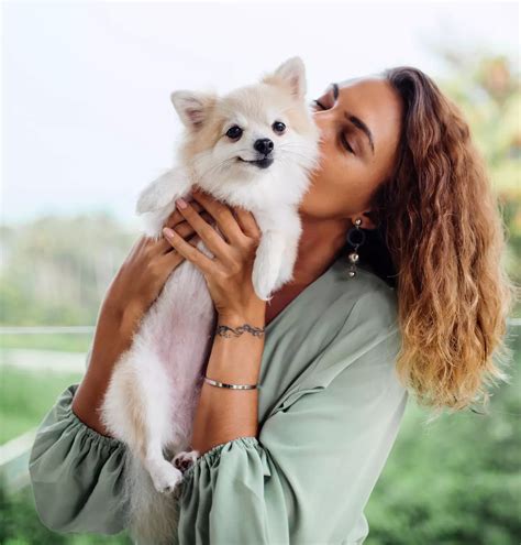 Boarding in North Las Vegas, NV in North Las Vegas, NV | Ann Road ...