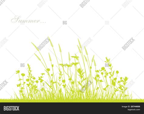 벡터 및 사진(무료 체험) | Bigstock