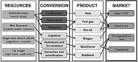 Bioenergy Process 的图像结果