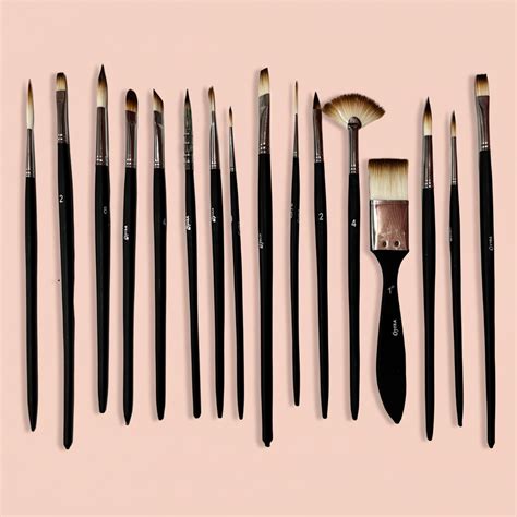 All in One Brushes Set of 16 - Oytra
