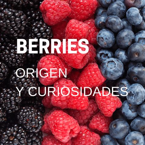 Berries: Origen y curiosidades - Hortiberia
