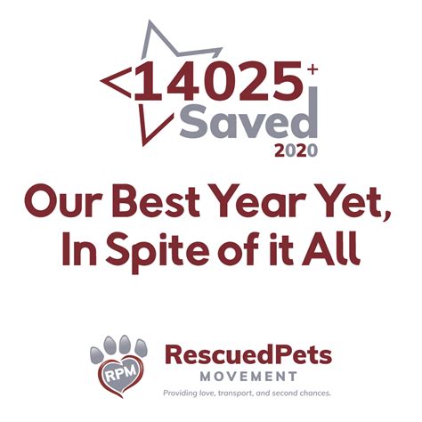 Rescued Pets Movement | Rescued Pets Movement