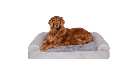Shop Deals & Discounts on Pet Supplies | Groupon