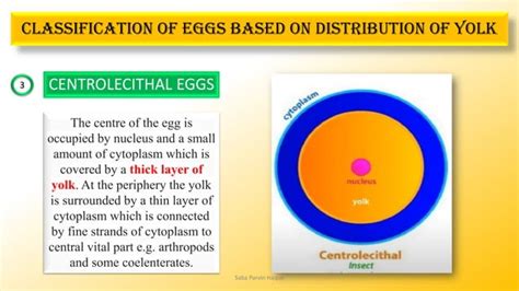 Image result for Egg Distribution Java Source Code