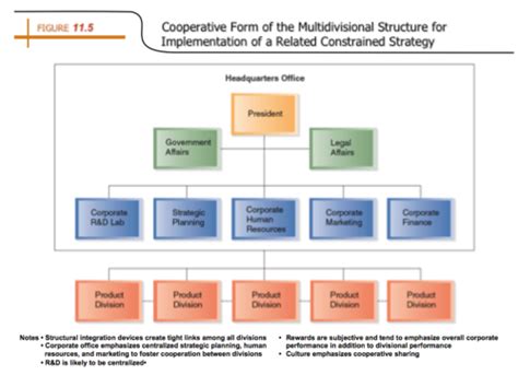 Multidivisional Structure 的图像结果