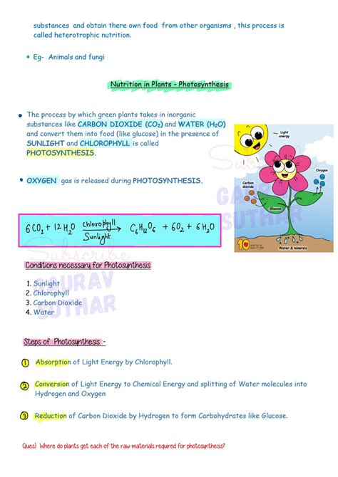 Life Processes Class 10 SuccessCDs 的图像结果
