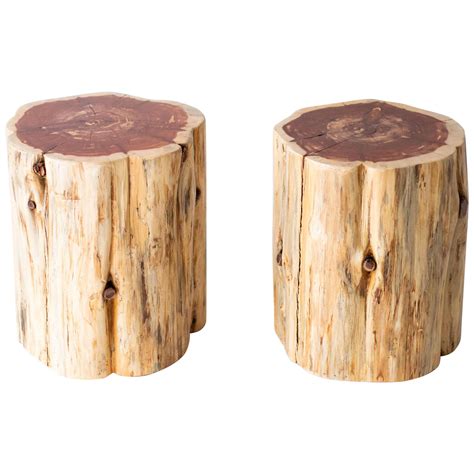 Large Tree Stump Side Tables, Natural For Sale at 1stDibs | tree stumps ...