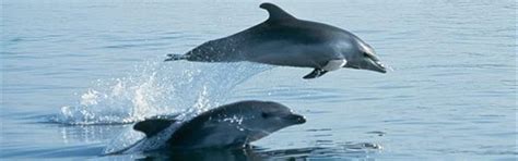 DIOLKOS Park Boat Loutraki | Visit Loutraki