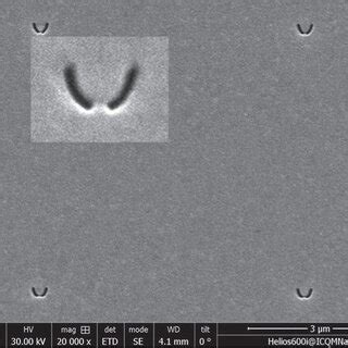 Image result for Sem Structure