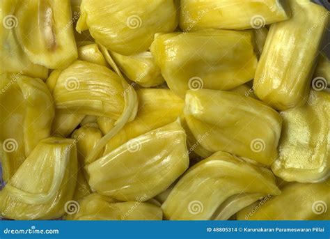 Jackfruit- Fresh Fleshy Seeds Stock Photo - Image of fibrous, medicinal: 48805314