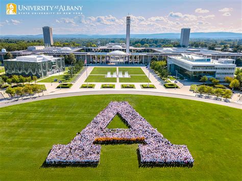 Image result for Language Tree