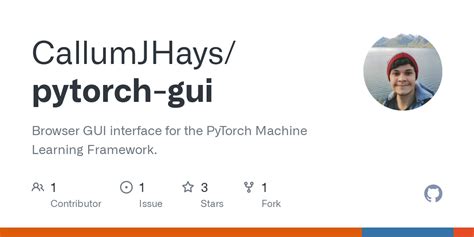 Image result for Pytorch Interface