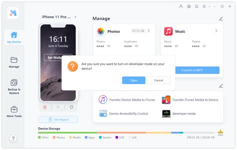 Developer Mode iOS 18 的图像结果