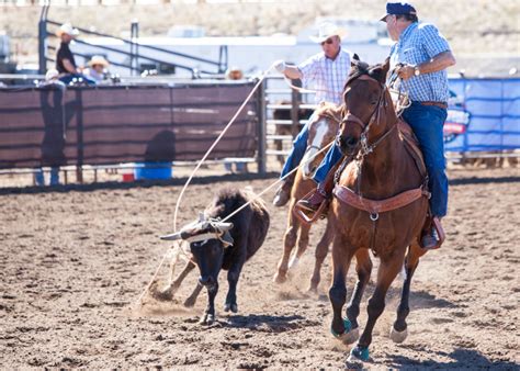 Beginner Roping Lessons 的图像结果