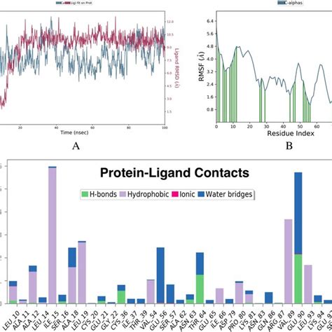 Image result for Molecular Dynamic Simulation Liquids
