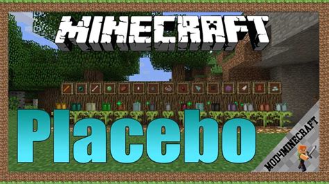 Image result for Placebo Mod Minecraft