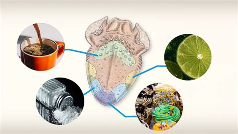 Science & Tech | Britannica