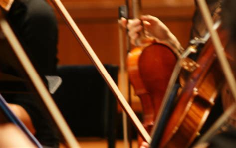 Image result for String Instruments Demo