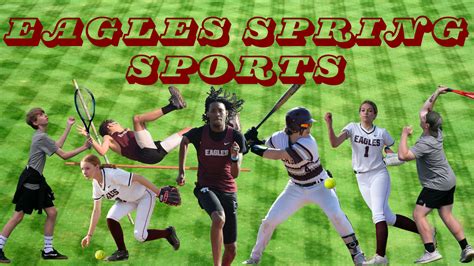 Spring Sports 的图像结果