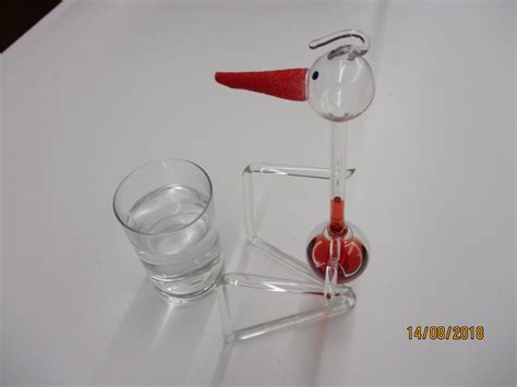 Image result for Bird Exploding Drinking Elcsta Water