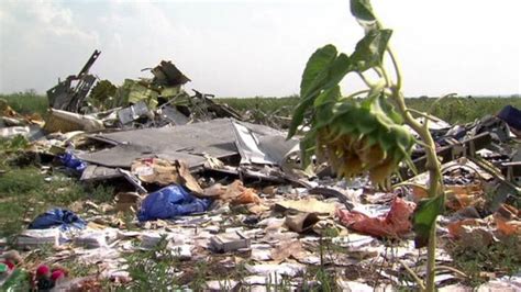 Malaysia Airlines MH17 Timeline - Mirror Online