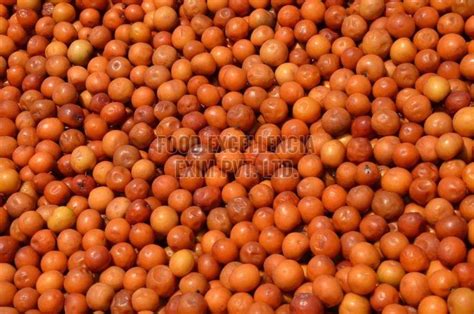 Fresh A Grade Jujube Exporter, Supplier from sutaripura