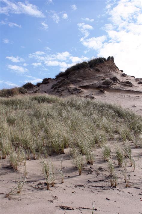 Mount Baldy Open House, 101 Rice St, Michigan City, IN 46360, United ...