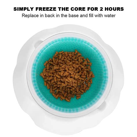 Feeding Pet Cool Water Bowl – dogtownindia