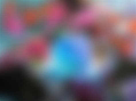 Image result for Plants vs.Zombies Loading Screen