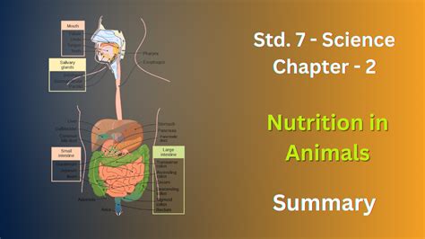 Image result for 7th Class Science 2nd Chapter