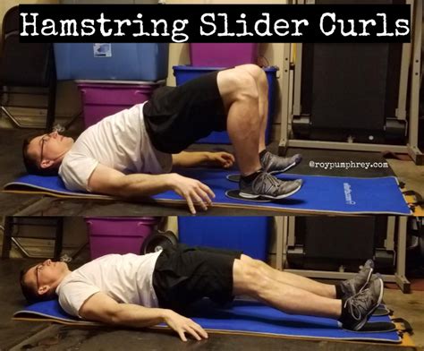 Hamstring Slider Exercise 的图像结果