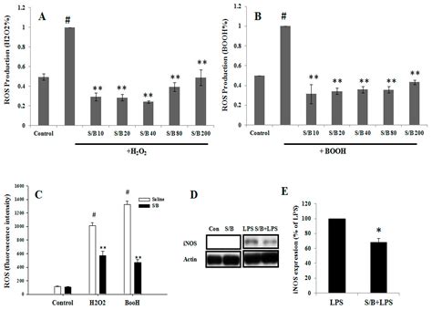 Characterizing the Neuroprotective Effects of S/B Remedy (Scutellaria ...