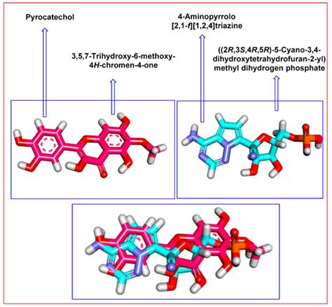 Plants | July-2 2022 - Browse Articles