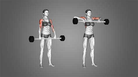 8 Highly Effective Upright Row Alternatives (With Pictures) - Inspire US