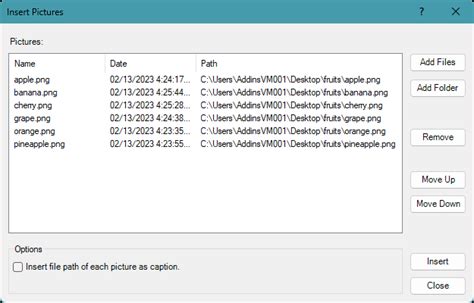 Batch Insert Image in Word 的图像结果