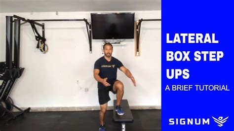 Image result for Lateral Step-Up Exercise Cartoon