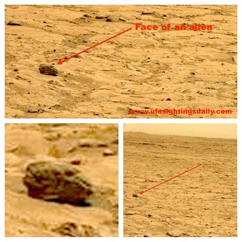 Alien Found 2013 的图像结果