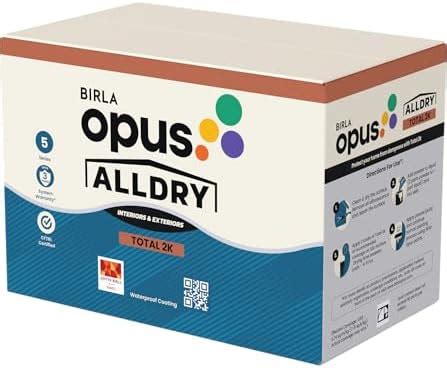 Birla Opus Alldry Total 2K Waterproof Coating Paint (3kg)-Potable Water ...