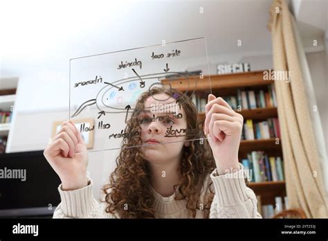 Cell Structure GCSE 的图像结果