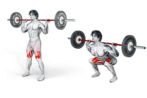 High Bar vs. Low Bar Squat: What's the Best Barbell Placement? | Flex AI
