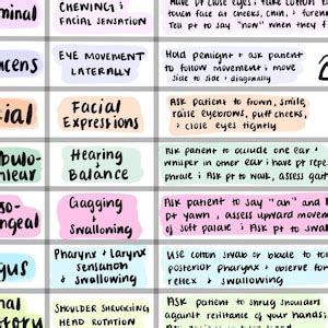 Buy Cranial Nerves Sheet Colorful Hand Drawn Pictures for Nursing ...