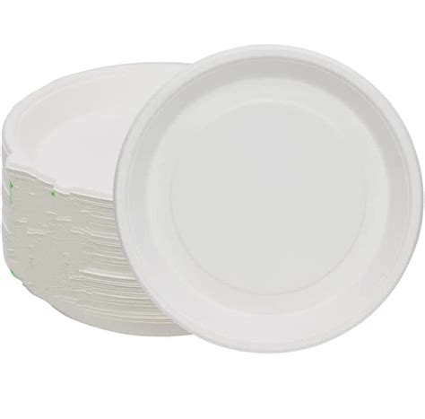 Ae 100 Eco Friendly Biodegradable Sugarcane Bagasse Disposable Plates ...