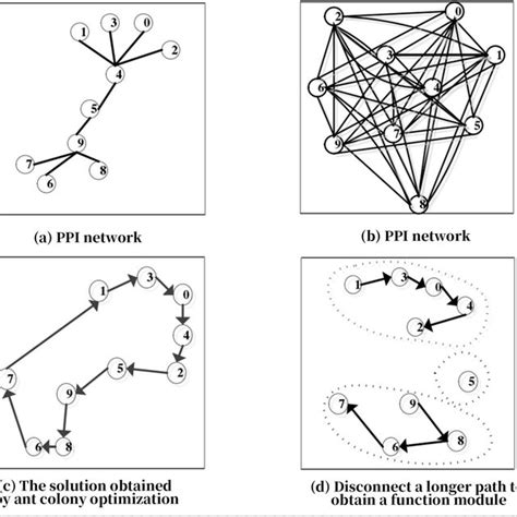 Image result for Ant Colony Optimization Formula