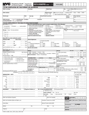 NY CH205 2023-2026 - Fill and Sign Printable Template Online